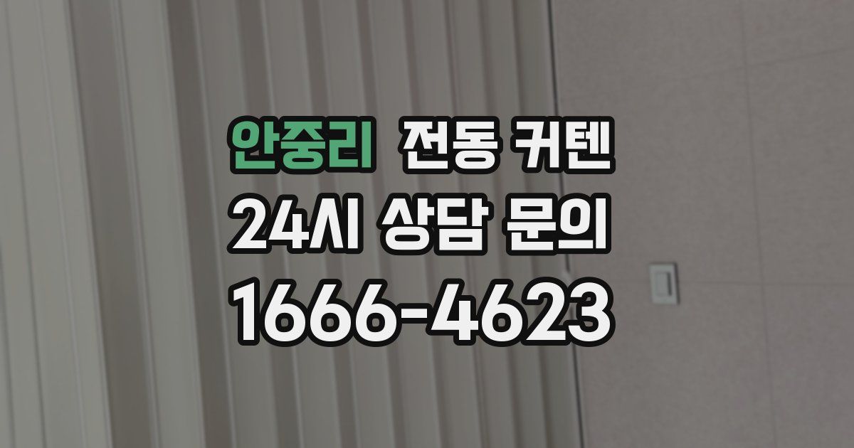 안중리 전동 커텐