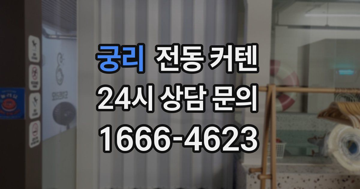 궁리 전동 커텐