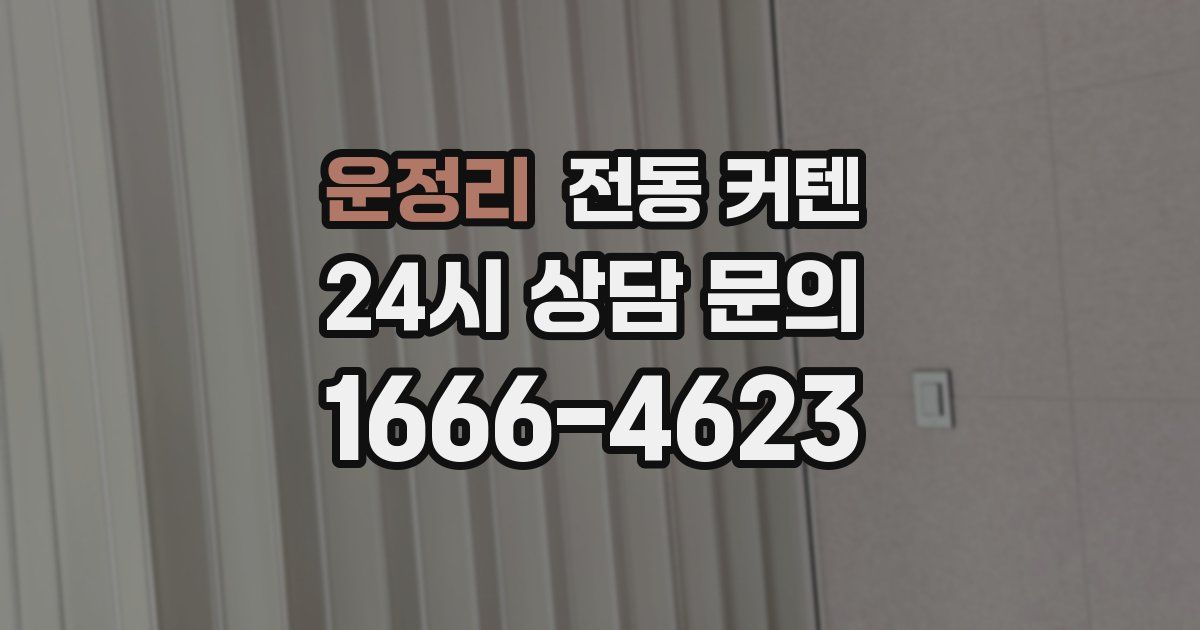 운정리 전동 커텐