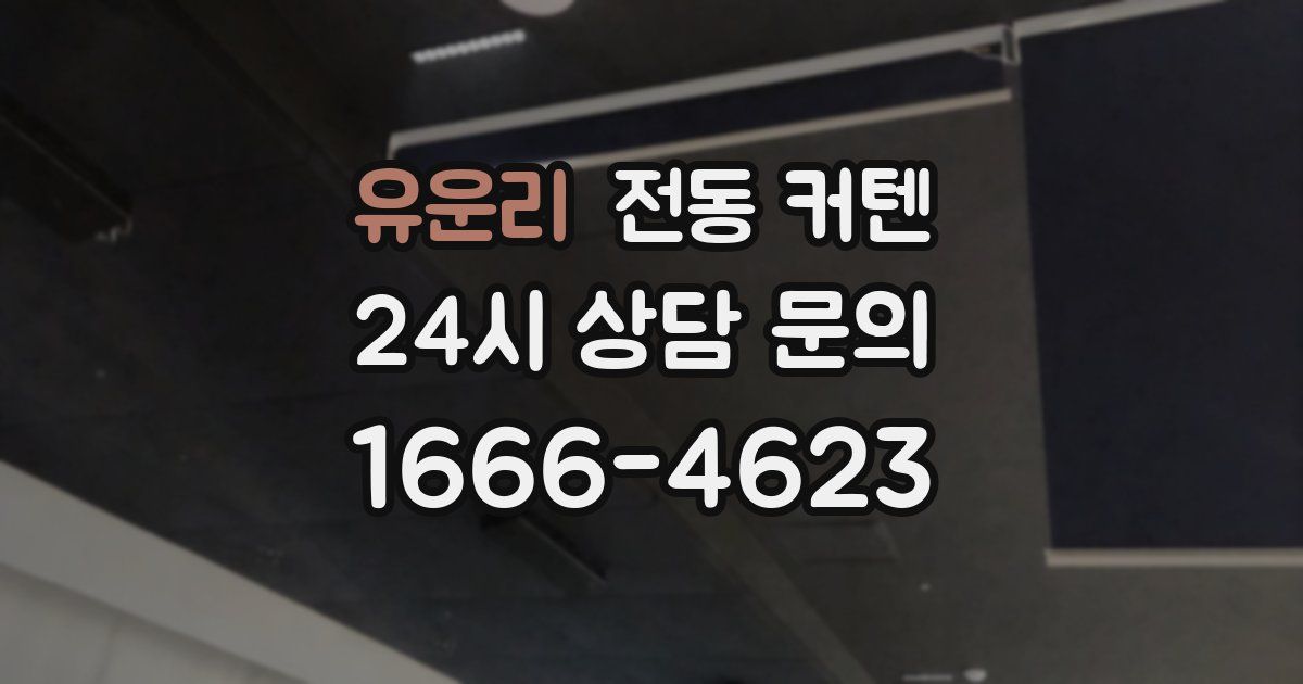 유운리 전동 커텐