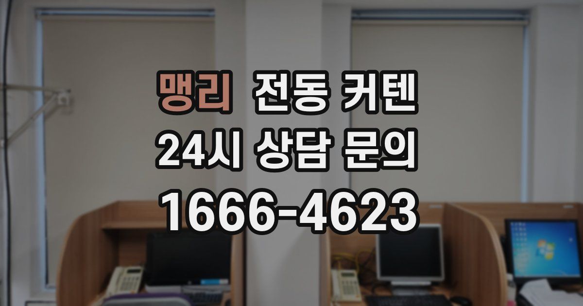 맹리 전동 커텐