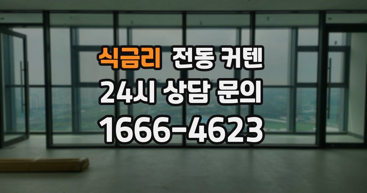 식금리 전동 커텐