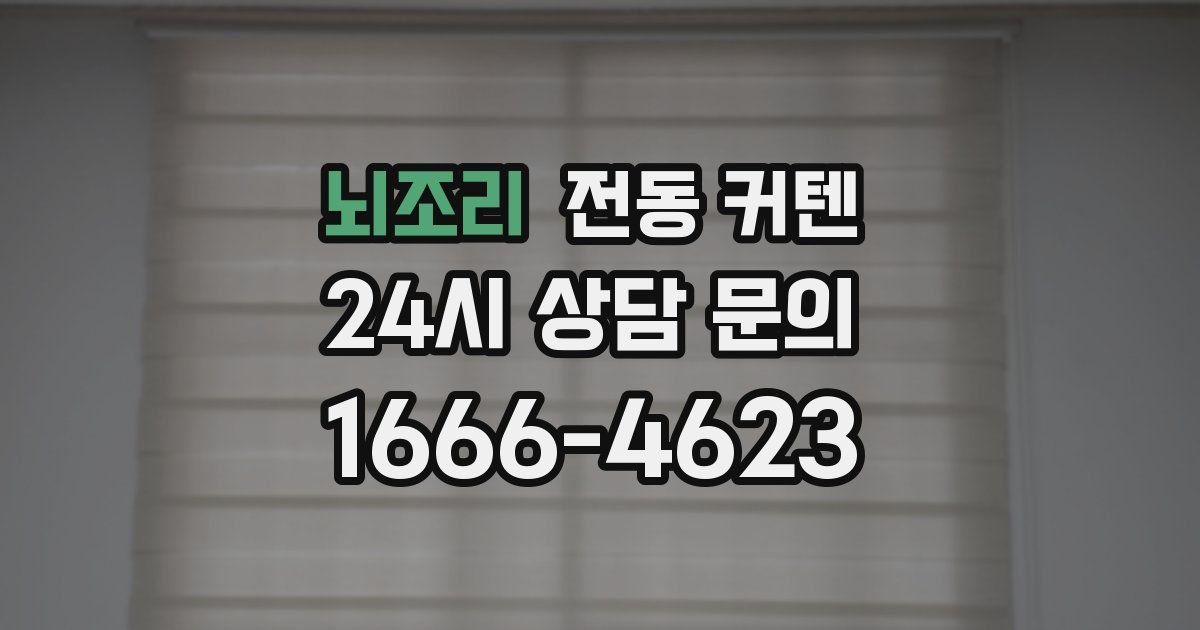 뇌조리 전동 커텐