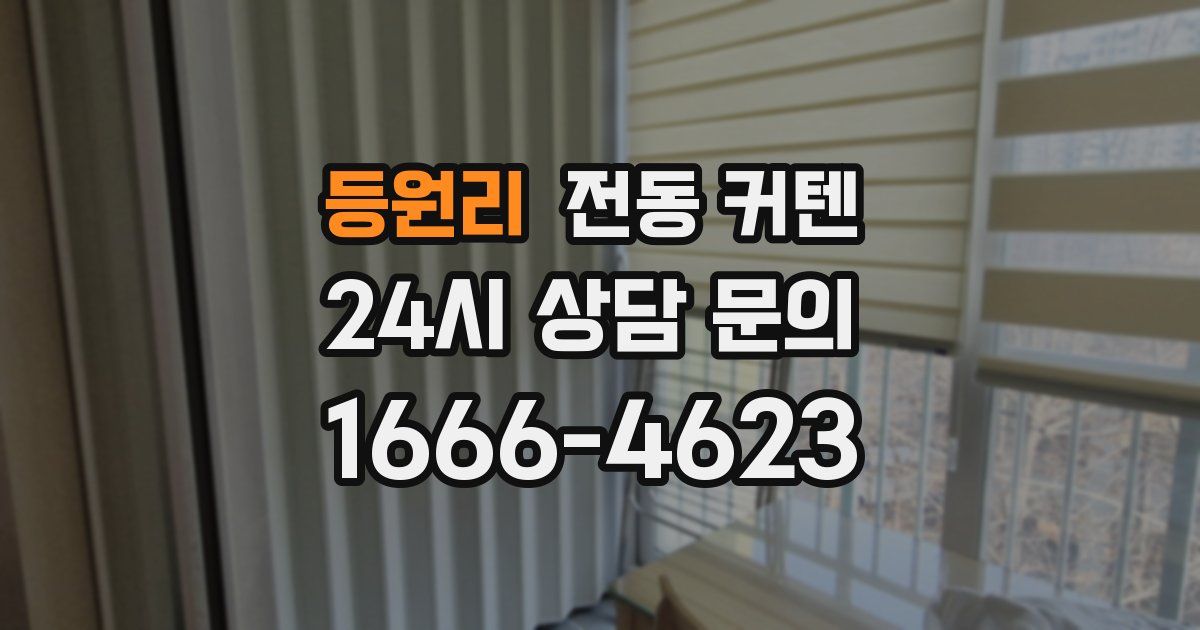 등원리 전동 커텐