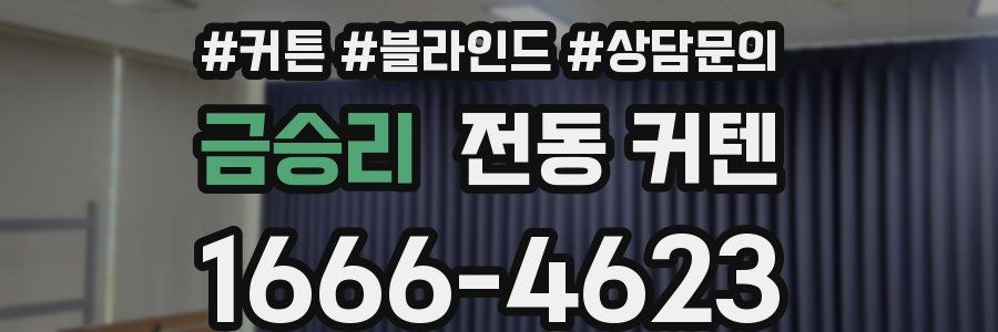 금승리 전동 커텐