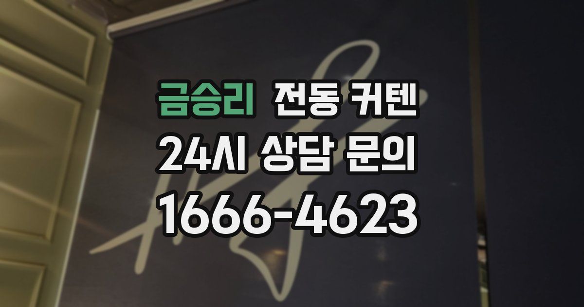 금승리 전동 커텐