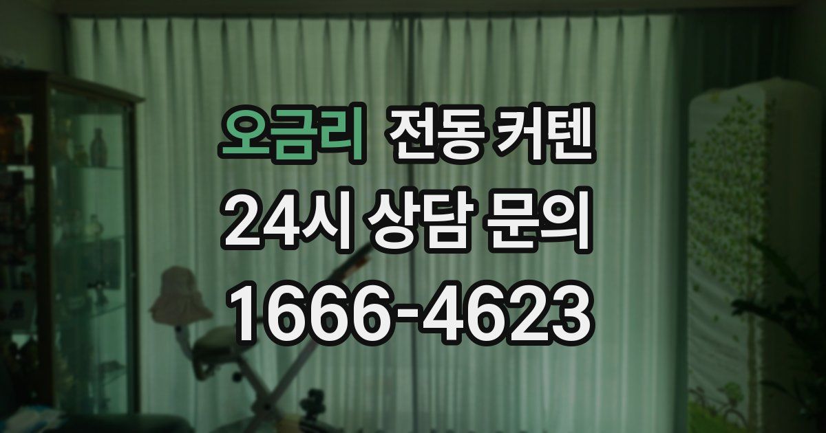 오금리 전동 커텐
