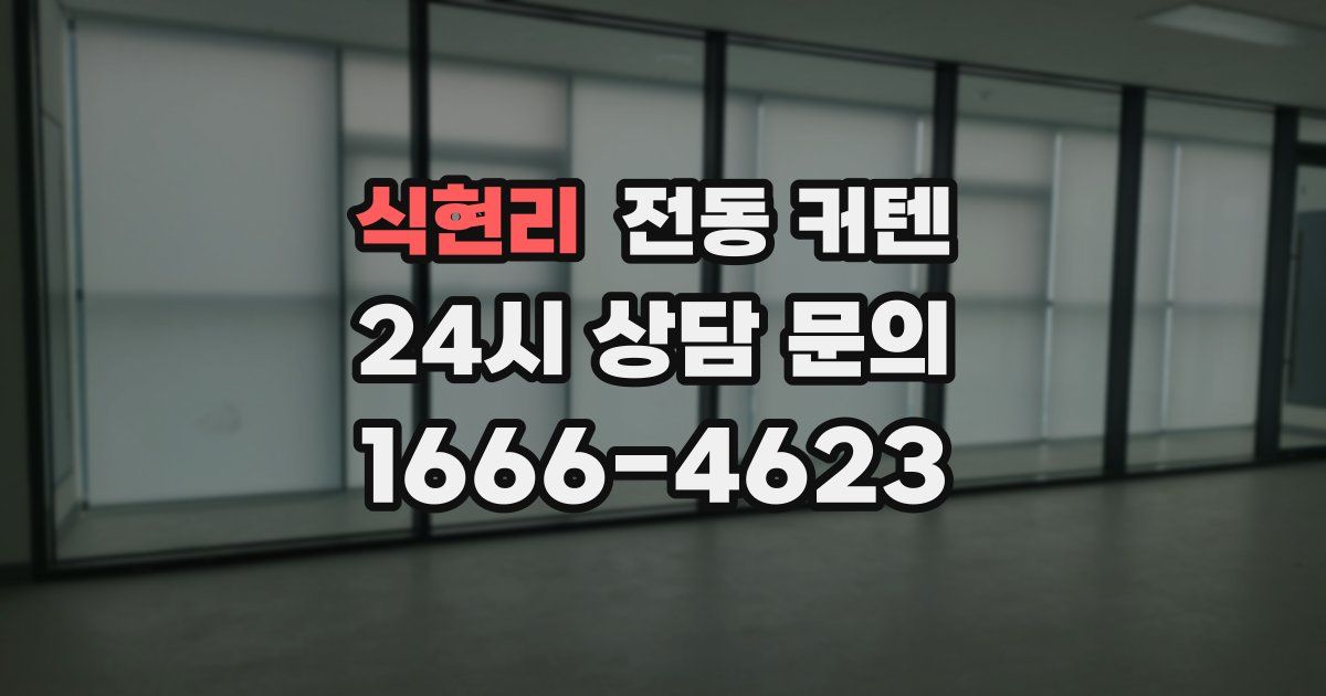 식현리 전동 커텐
