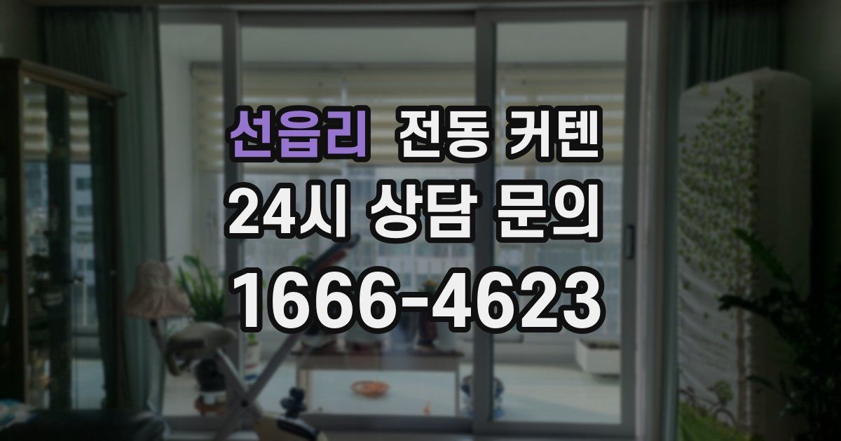 선읍리 전동 커텐