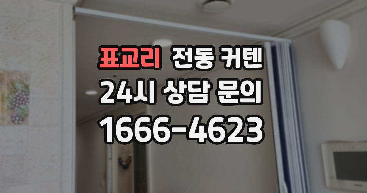 표교리 전동 커텐