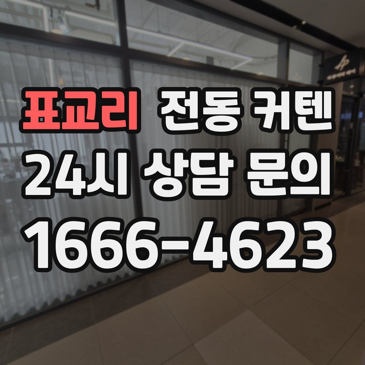 표교리 전동 커텐