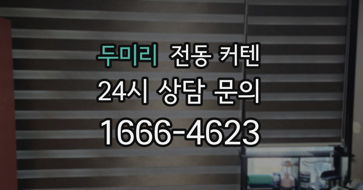 두미리 전동 커텐