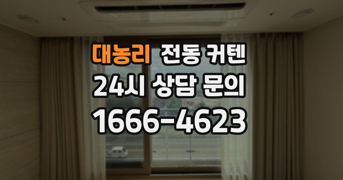 대농리 전동 커텐