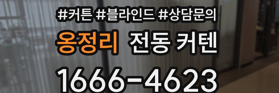 옹정리 전동 커텐