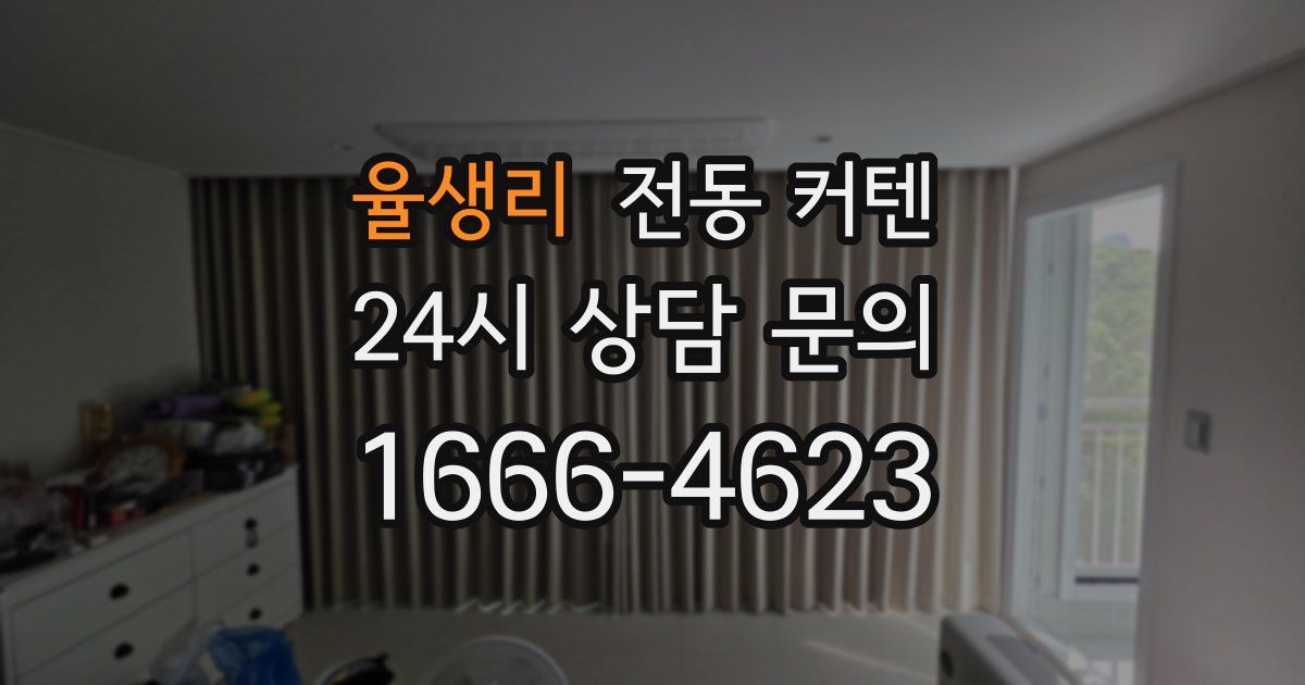 율생리 전동 커텐