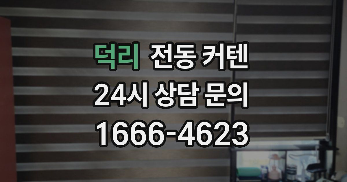 덕리 전동 커텐