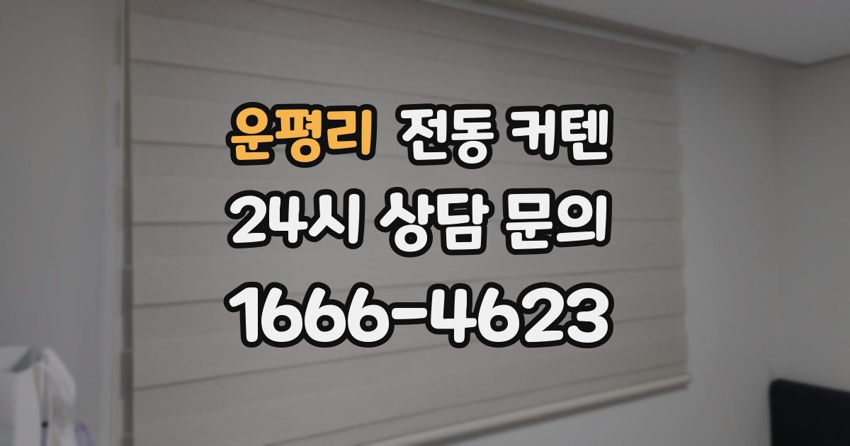 운평리 전동 커텐