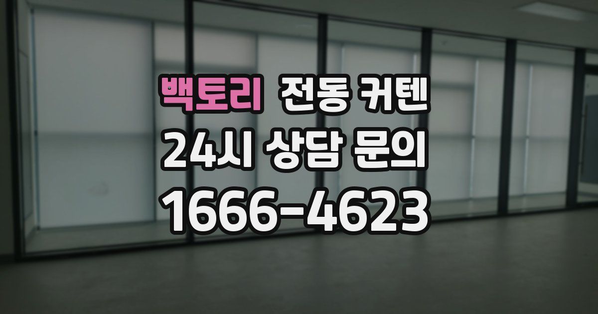 백토리 전동 커텐