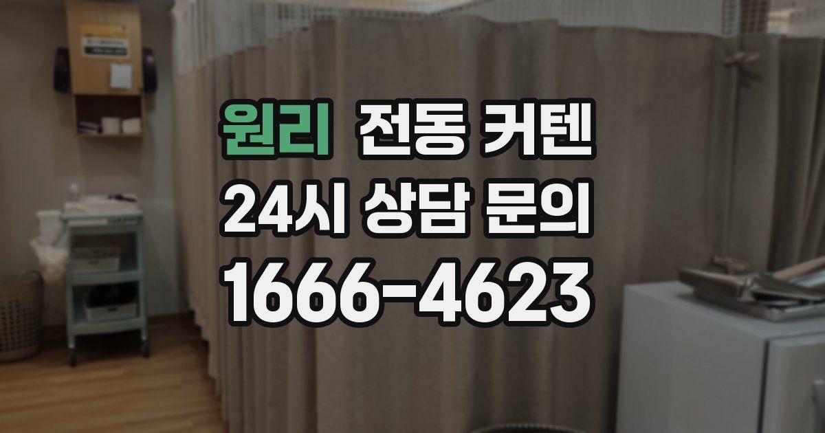 원리 전동 커텐