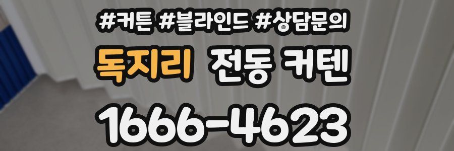 독지리 전동 커텐
