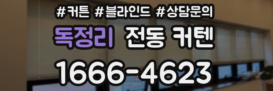 독정리 전동 커텐