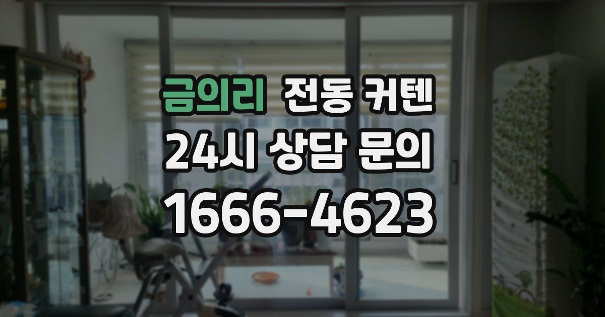 금의리 전동 커텐