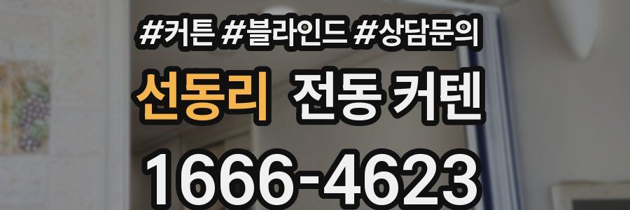 선동리 전동 커텐