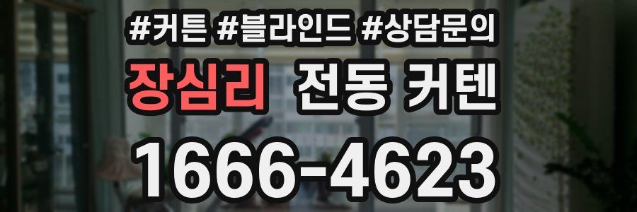 장심리 전동 커텐