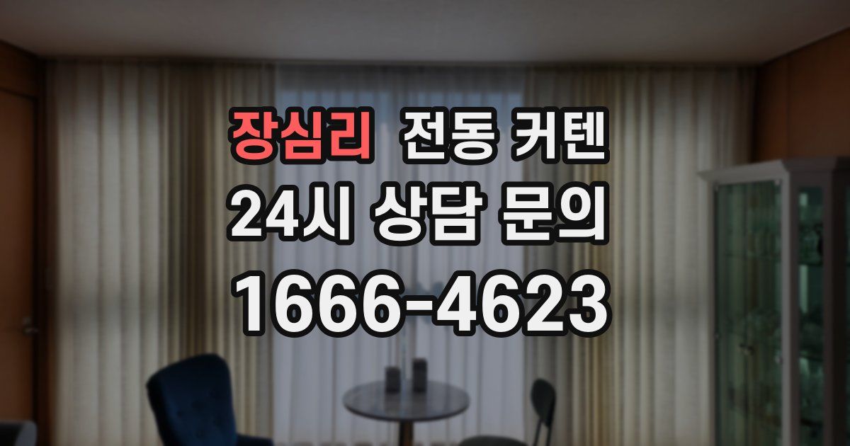 장심리 전동 커텐