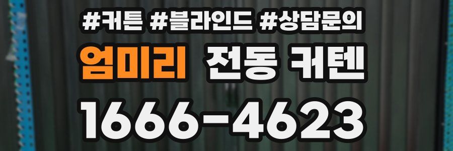 엄미리 전동 커텐