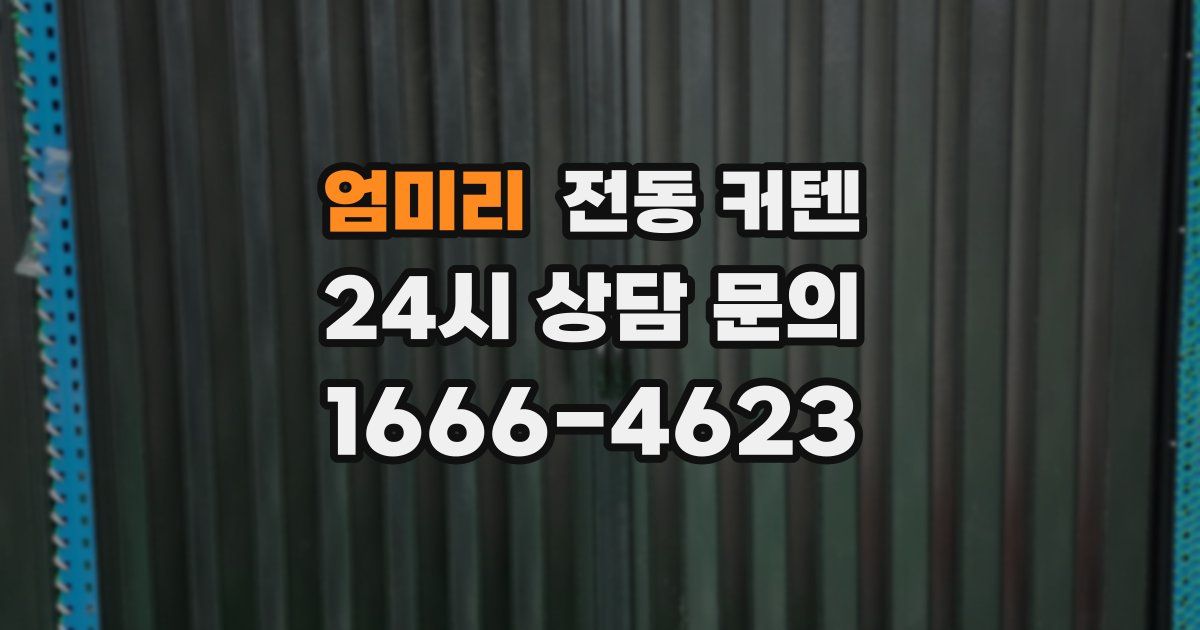 엄미리 전동 커텐