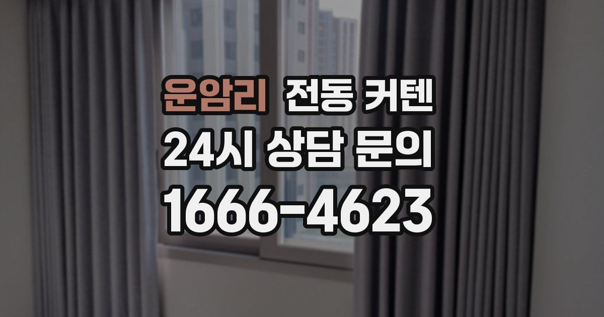 운암리 전동 커텐