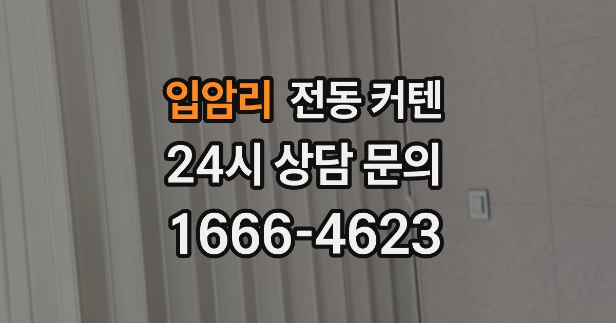 입암리 전동 커텐