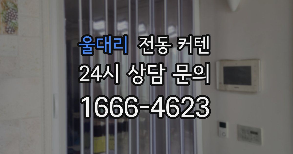 울대리 전동 커텐