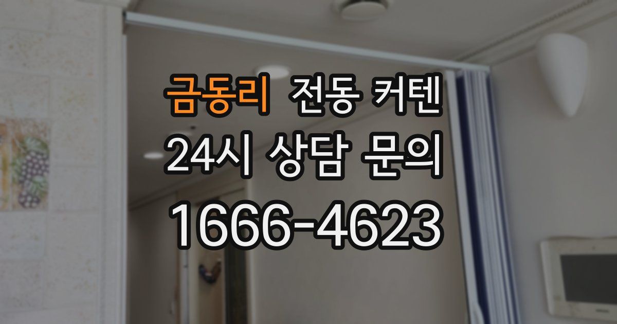 금동리 전동 커텐