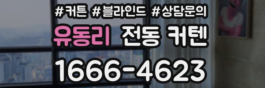 유동리 전동 커텐