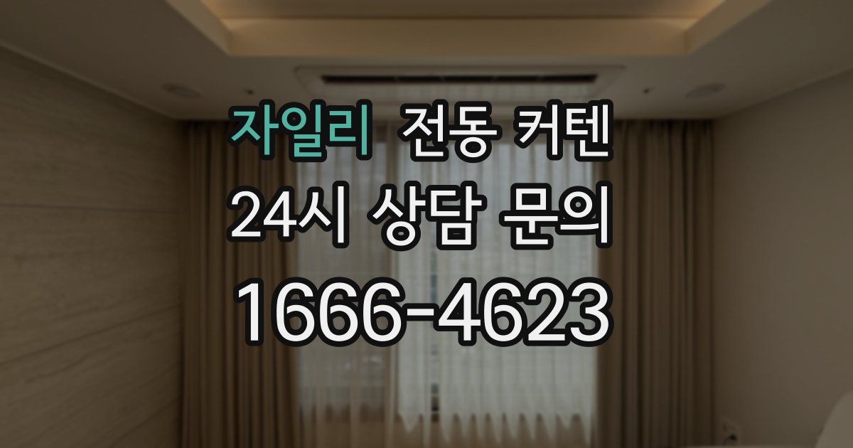 자일리 전동 커텐