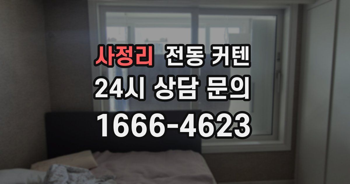 사정리 전동 커텐