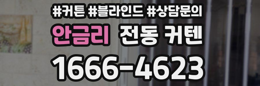 안금리 전동 커텐