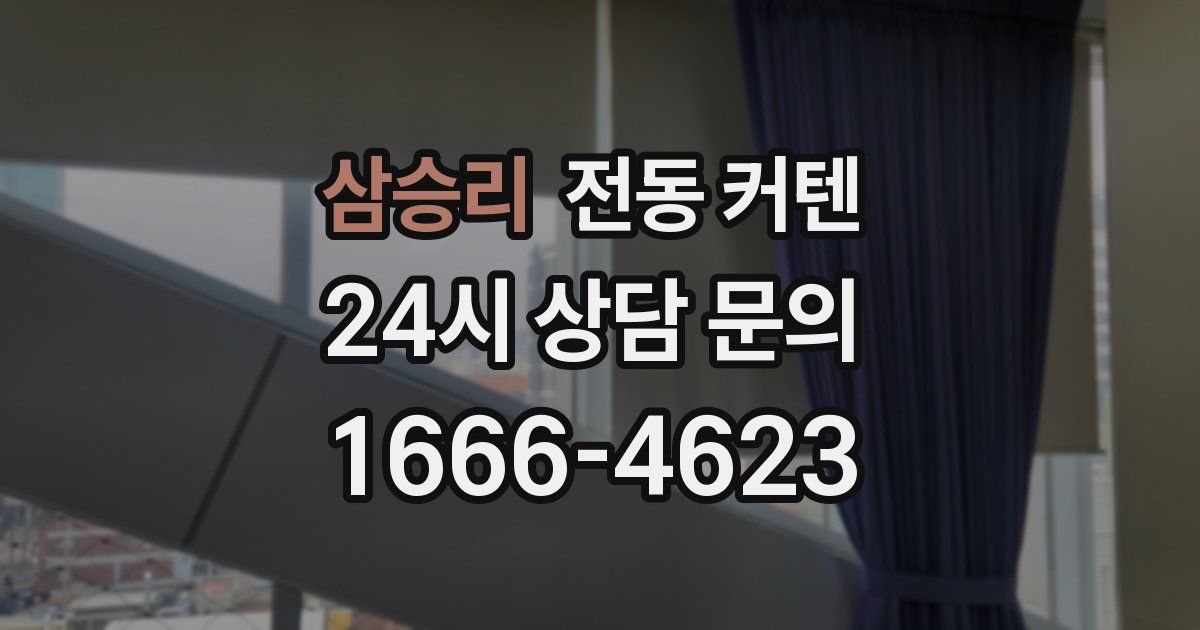 삼승리 전동 커텐