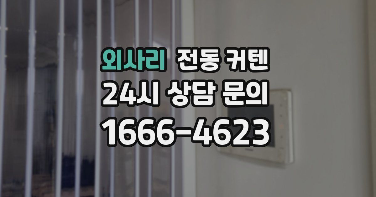 외사리 전동 커텐