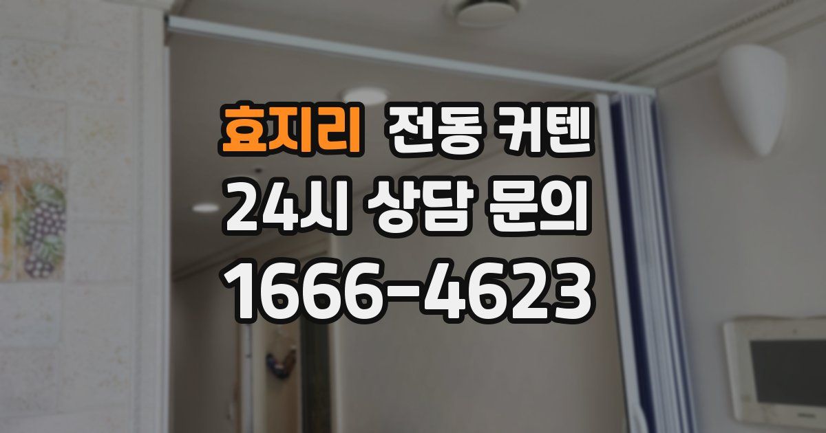 효지리 전동 커텐