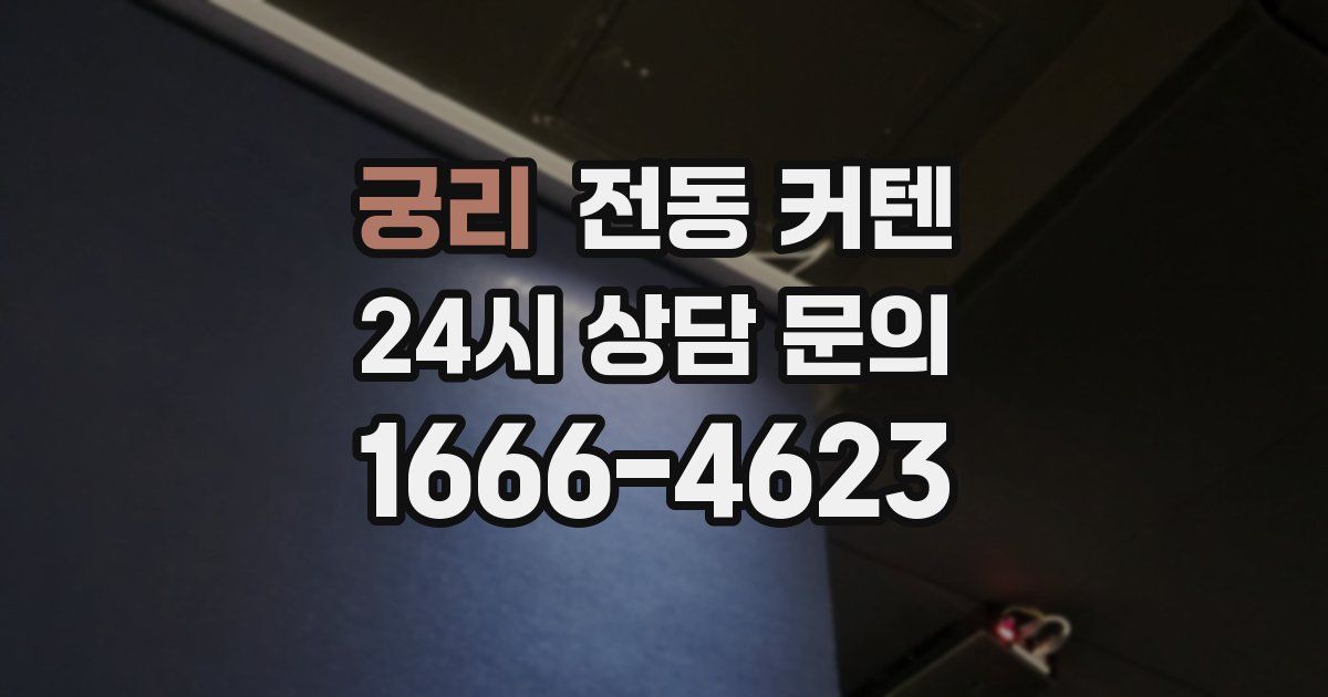 궁리 전동 커텐