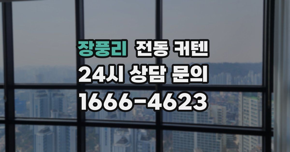 장풍리 전동 커텐