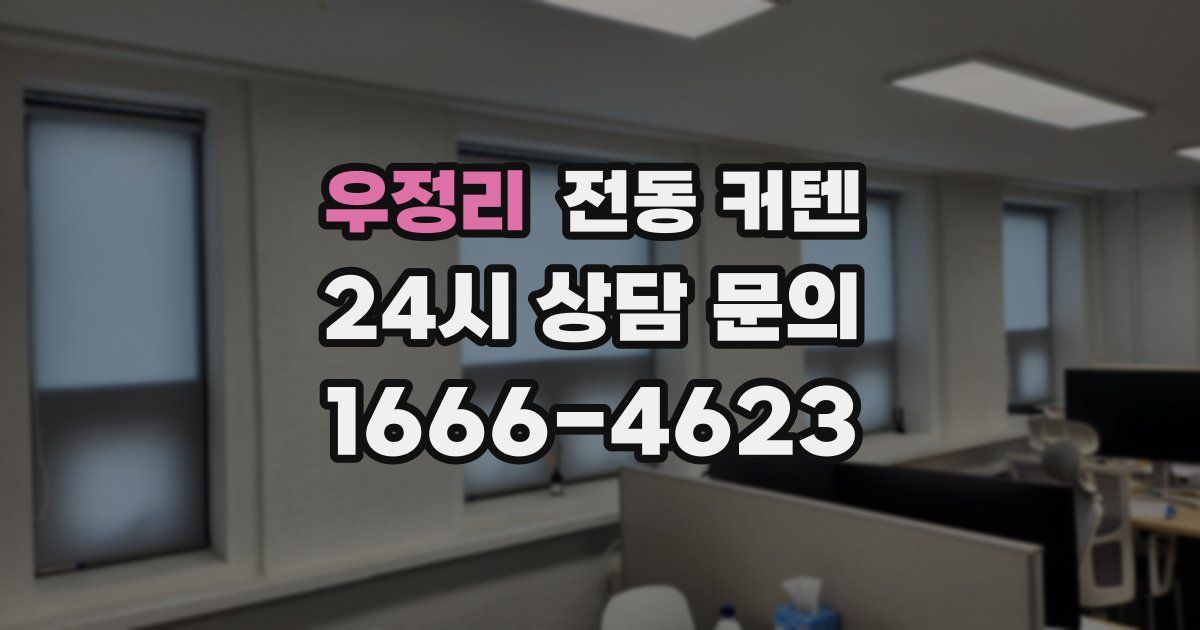 우정리 전동 커텐
