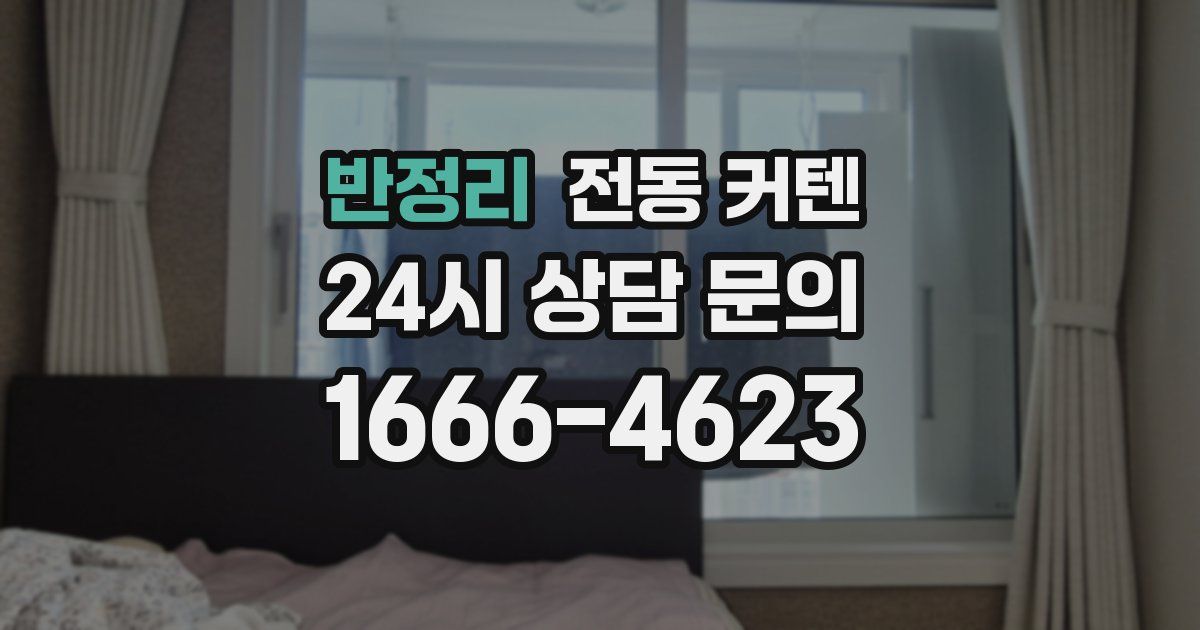 반정리 전동 커텐