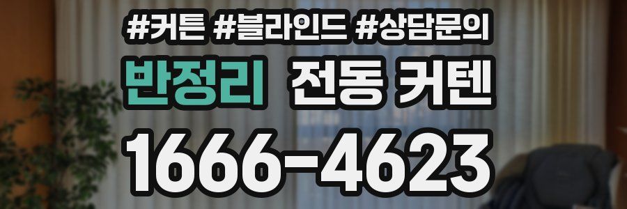 반정리 전동 커텐