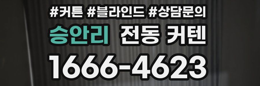 승안리 전동 커텐