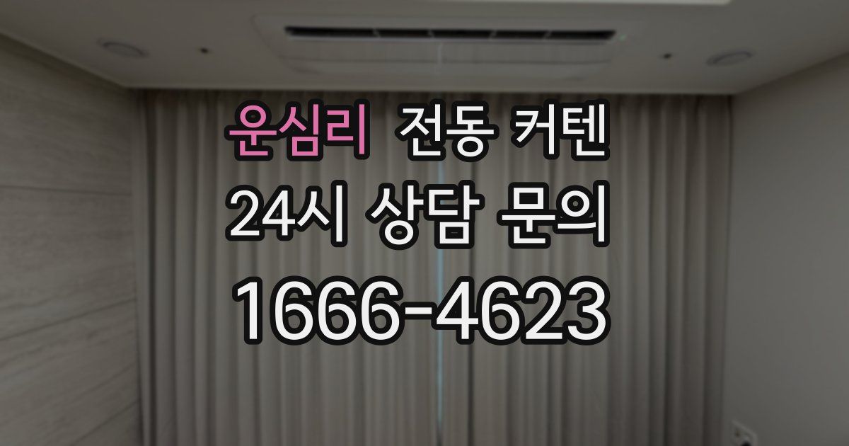운심리 전동 커텐