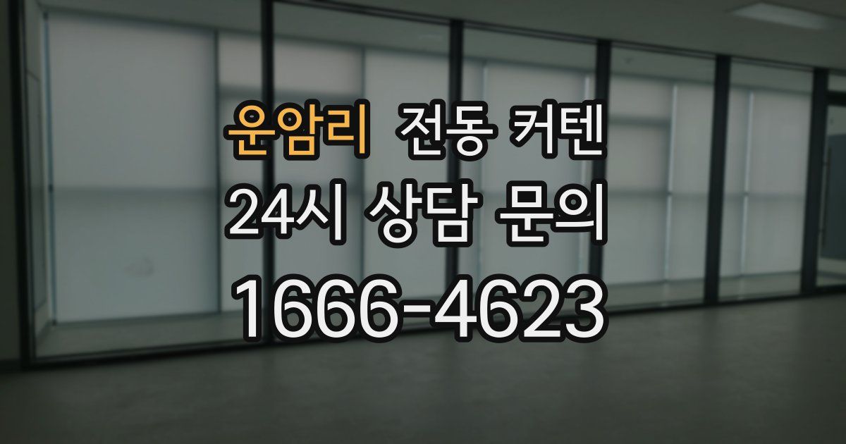 운암리 전동 커텐